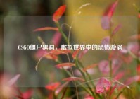 CSGO僵尸黑洞，虚拟世界中的恐怖漩涡