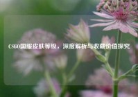 CSGO国服皮肤等级，深度解析与收藏价值探究