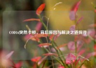 COD16突然卡顿，背后原因与解决之道探寻