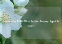 Understanding PUBG Official English - Language Appeal Responses