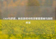 CSGO与逆战，射击游戏中的灵敏度奥秘与别样风采