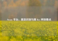 Steam 平台，黑货识别与黑 Key 辨别要点