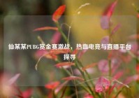 仙某某PUBG赏金赛激战，热血电竞与直播平台探寻