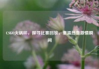 CSGO火锅杯，探寻比赛回放，重温热血激情瞬间