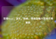 禁用Steam，含义、影响、缘由及输入禁用作用解析