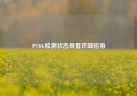 PUBG检测状态查看详细指南