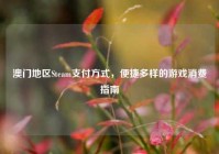 澳门地区Steam支付方式，便捷多样的游戏消费指南