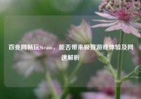 百兆网畅玩Steam，能否带来极致游戏体验及网速解析
