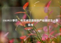 CSGOWZY事件，电竞诚信面临的严峻挑战及人物探寻