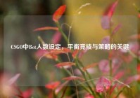 CSGO中Bot人数设定，平衡竞技与策略的关键