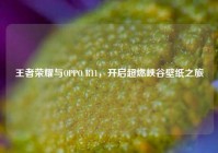 王者荣耀与OPPO R11，开启超燃峡谷壁纸之旅