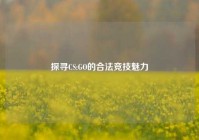 探寻CS:GO的合法竞技魅力