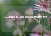 Steam游戏共享，借出的安全疑虑与体验喜忧