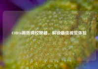 COD16画质调校秘籍，解锁最佳视觉体验