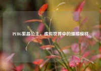 PUBG紫晶公主，虚拟世界中的璀璨模样