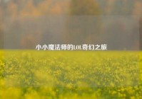小小魔法师的LOL奇幻之旅