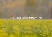 Steam平台游戏凯瑟琳是否有中文