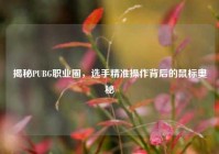 揭秘PUBG职业圈，选手精准操作背后的鼠标奥秘