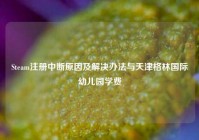 Steam注册中断原因及解决办法与天津格林国际幼儿园学费