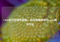 CSGO全方位调节指南，优化游戏体验与csgohz调节方法