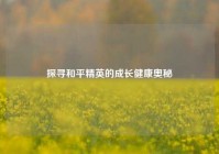 探寻和平精英的成长健康奥秘