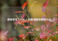 绝地求生（PUBG）闪退成因及解决方法