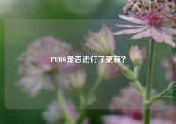 PUBG是否进行了更新？
