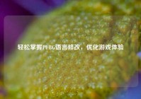 轻松掌握PUBG语言修改，优化游戏体验