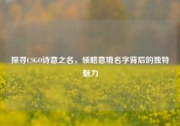 探寻CSGO诗意之名，领略意境名字背后的独特魅力