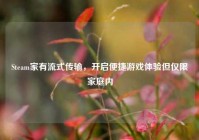 Steam家有流式传输，开启便捷游戏体验但仅限家庭内