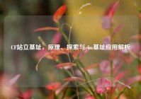 CF站立基址，原理、探索与cfm基址应用解析