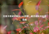 无显卡低成本畅玩CSGO攻略，能否游玩及玩法指南