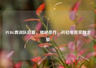 PUBG青训队招募，揭秘条件，开启电竞荣耀之旅