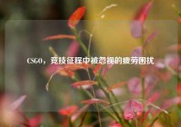 CSGO，竞技征程中被忽视的疲劳困扰