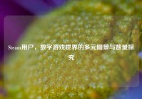 Steam用户，数字游戏世界的多元图景与数量探究