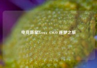 电竞新星Zero，CSGO 逐梦之旅