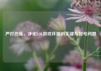 严打代练，净化LOL游戏环境的关键与封号问题