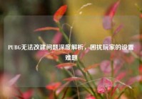 PUBG无法改建问题深度解析，困扰玩家的设置难题