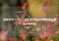 绝地求生（PUBG）团队房开启全攻略及团队语音使用方法