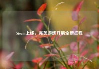Steam上线，完美游戏开启全新征程