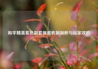 和平精英紫色副套保底机制剖析与玩家攻略