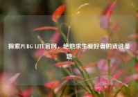 探索PUBG LITE官网，绝地求生爱好者的资讯圣地