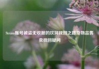 Steam账号被盗无收据的坎坷找回之路及物品售卖找回疑问