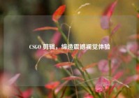 CSGO 剪辑，缔造震撼视觉体验