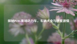 探秘PUBG赛场动力车，车辆大全与速度激情
