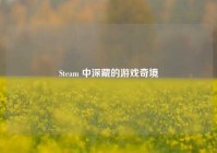 Steam 中深藏的游戏奇境