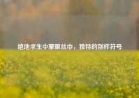 绝地求生中蒙眼丝巾，独特的别样符号