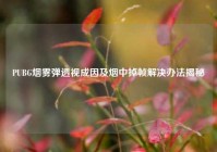 PUBG烟雾弹透视成因及烟中掉帧解决办法揭秘
