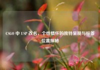 CSGO 中 USP 改名，个性情怀的独特呈现与标签位置探秘