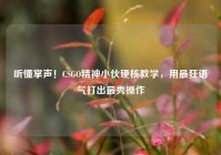 听懂掌声！CSGO精神小伙硬核教学，用最狂语气打出最秀操作